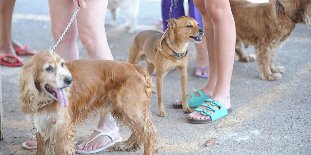 Foto de AVC. Sete hábitos que ajudam (e muito) a evitar ‘assassino silencioso’