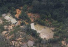 Neto de secretário municipal de São Carlos morre em acidente na Anhanguera Ribeirão Preto, SP